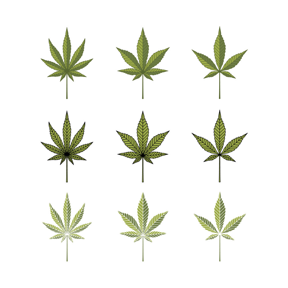 Vintage retro cbd cannabis marijuana hemp leaf farm cultivation logo design