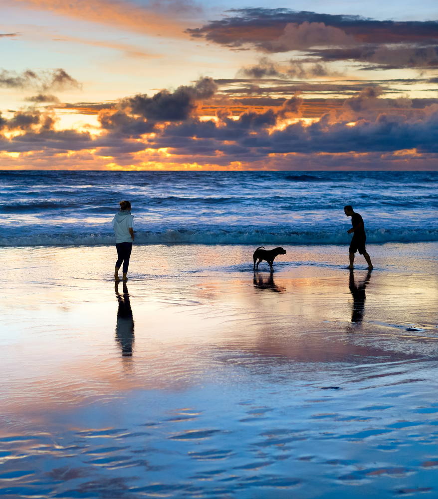 Couple playing on beach with dog, scenic sunset seascape in background, Bali, Indonesia