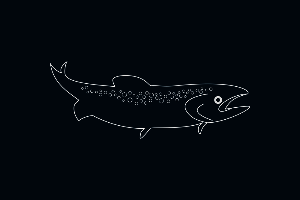 Line drawing vector of a fish on blue