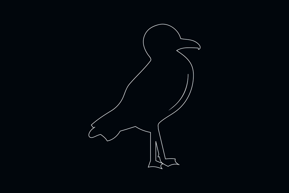 Line drawing vector of a seagull on blue