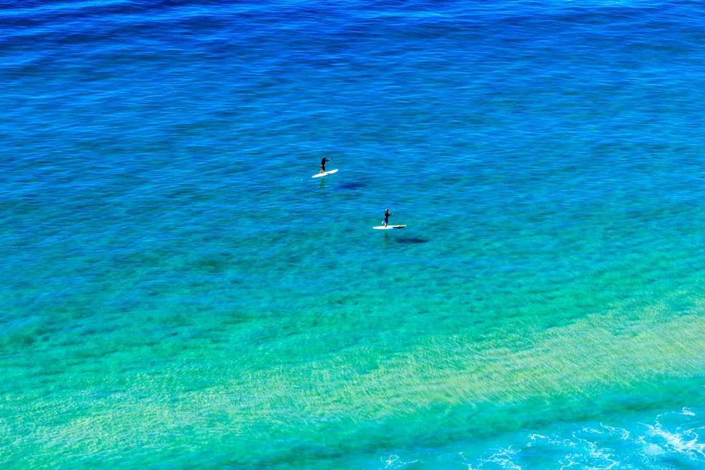 Paddleboarders on the sea at Burleigh, Gold Coast, Queensland, Australia,