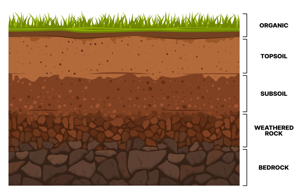 Soil layer infographics, earth texture horizon, subsoil land and underground, vector cross section. Geology soil layer and ground structure diagram with organic topsoil, weathered rock and bedrock. Soil layer infographics, earth subsoil texture