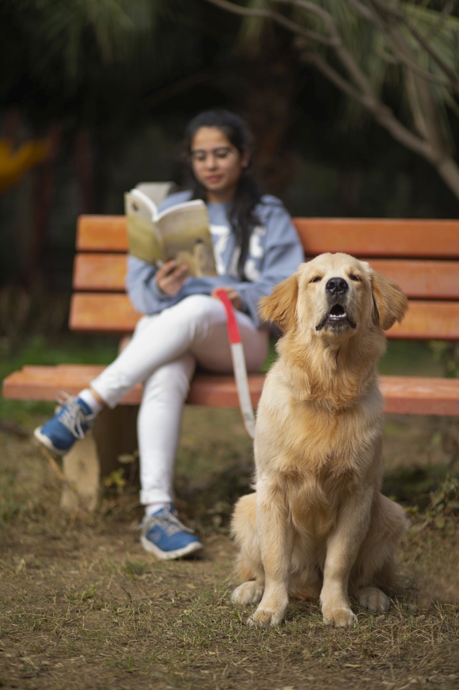 A YOUNG GIRL SITTING ON A PARK BENCH AND READING BOOK WHILE PET DOG SITS NEARBY