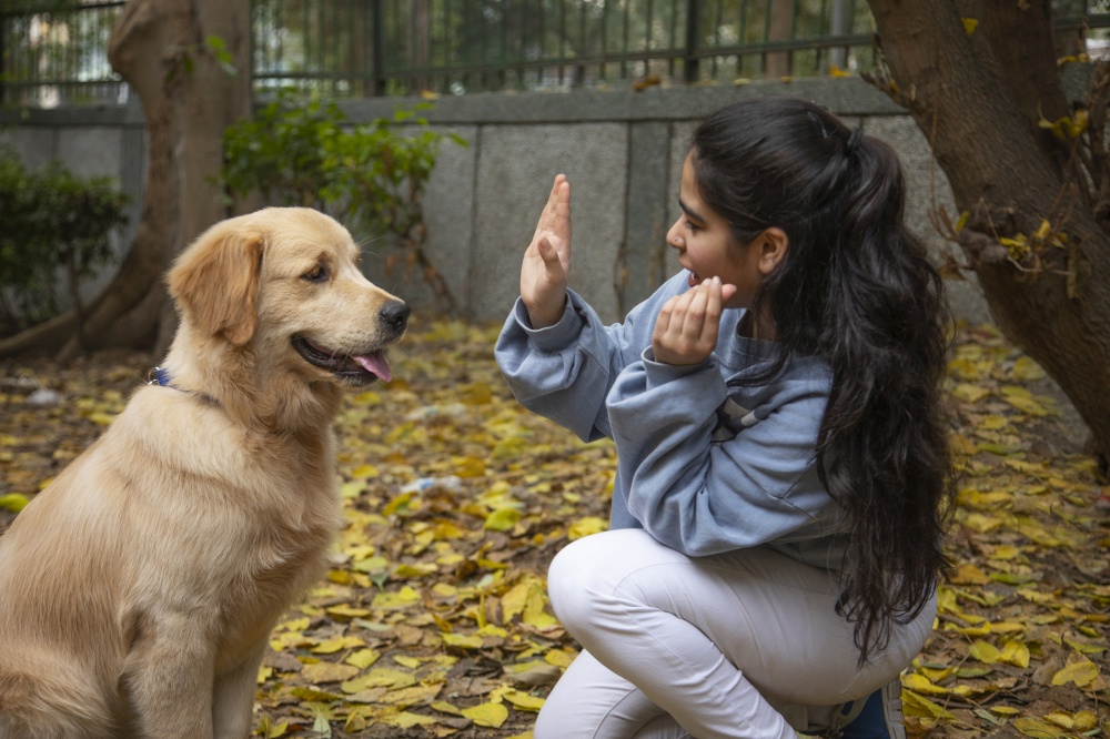 A YOUNG GIRL RAISING HAND IN FRONT OF PET DOG WHILE PLAYING