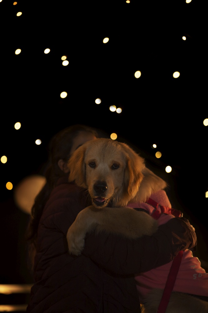 A PET DOG BEING HELD BY YOUNG GIRL AT NIGHT