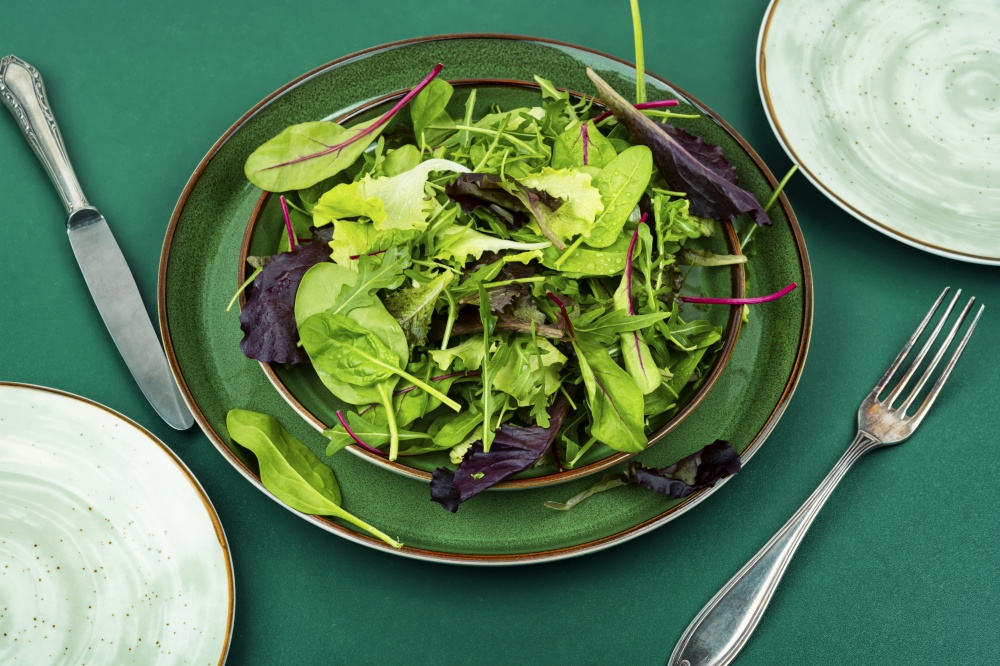 Green mix salad lettuce on a plate. Green food.. Greens lettuce vitamin salad