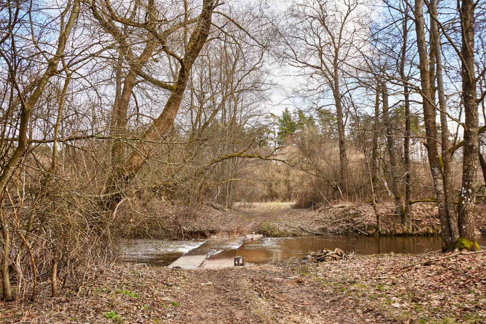 Early spring forest. Dirt rural road. Bridge flooded by overflow river. March spring day. Calm weather. Season change. Village rural landscape. Belarus.