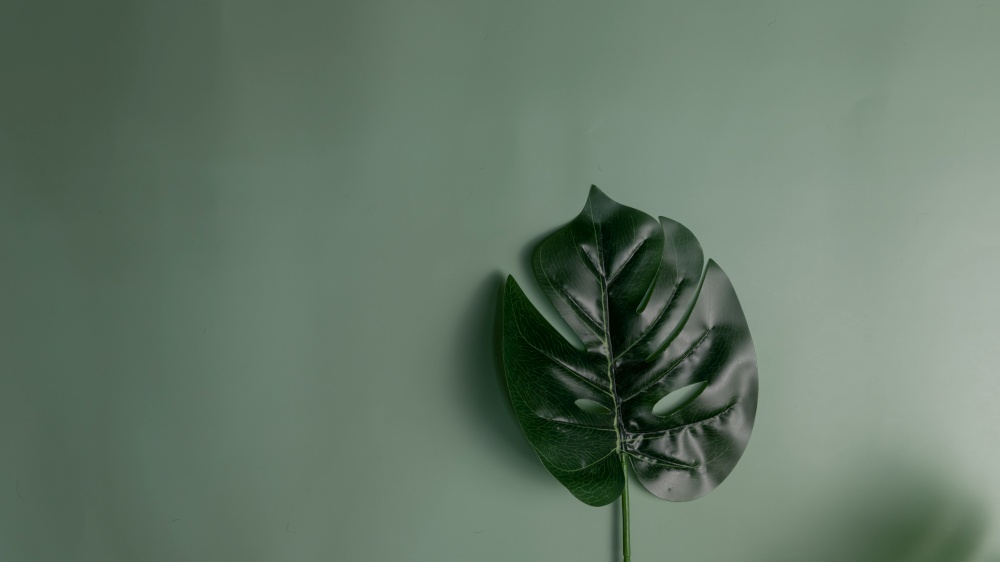 Green natural tropical leaves on green background. Abstract flat lay concept. Copy space.