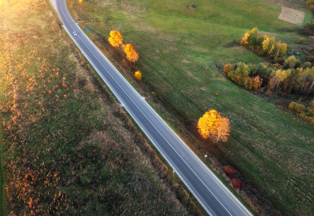 Aerial view of road, hills, green meadows and colorful trees at sunset in autumn. Top view of rural road. Beautiful landscape with roadway, grass, orange trees in fall. Highway. View from above. Aerial view of winding road in autumn forest at sunset