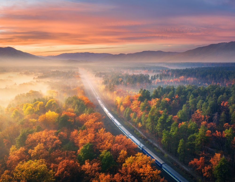 Aerial view of passenger train in beautiful forest in fog at sunset. Autumn landscape with railroad, foggy trees, trail and colorful sky with clouds. Top view of moving train in fall. Railway station. Aerial view of passenger train in autumn forest in fog at sunset