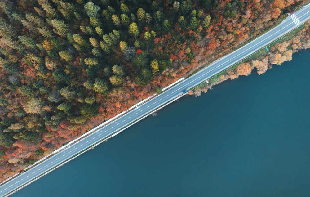 Aerial view of road near blue lake, forest at sunset in autumn. Travel in Ukraine. Top view of beautiful road, orange trees in fall. Colorful landscape with highway and river shore. Road trip. Nature. Aerial view of road near blue lake, forest at sunset in autumn