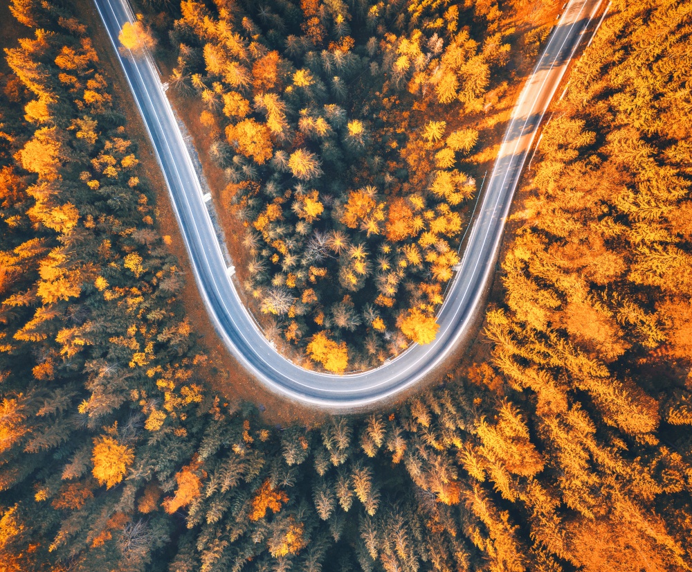 Aerial view of winding road with car in colorful autumn forest at sunset. View from above  of mountain road in woods. Beautiful landscape with roadway, trees with orange leaves in fall in Ukraine