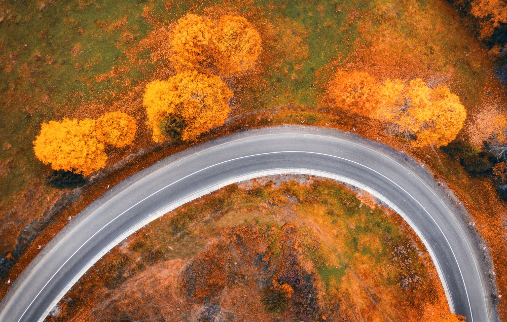 Aerial view of winding road and orange trees at sunset in autumn. Top view of mountain road in woods. Colorful landscape with roadway, meadow, grass, trees with yellow leaves in fall. Autumn colors