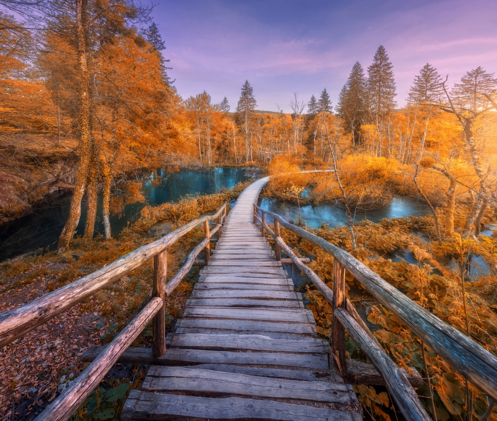 Wooden path in orange forest in Plitvice Lakes, Croatia at sunset in autumn. Colorful landscape with stairs in park, trees, red foliage, water lilies, river, pink sky in fall. Trail in woods. Nature