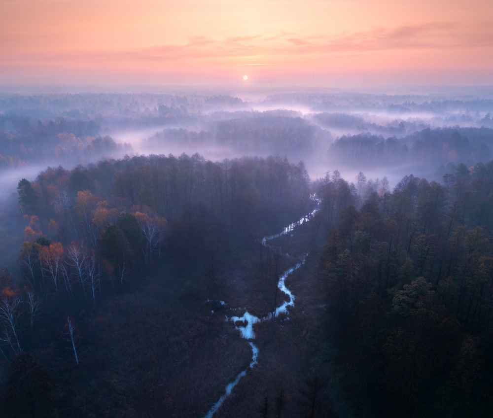 Aerial view of beautiful curving river and forest in fog at sunrise in autumn in Ukraine. River, foggy trees, low clouds, pink sky at dawn in fall. Colorful aerial landscape. Top view of woods. Nature