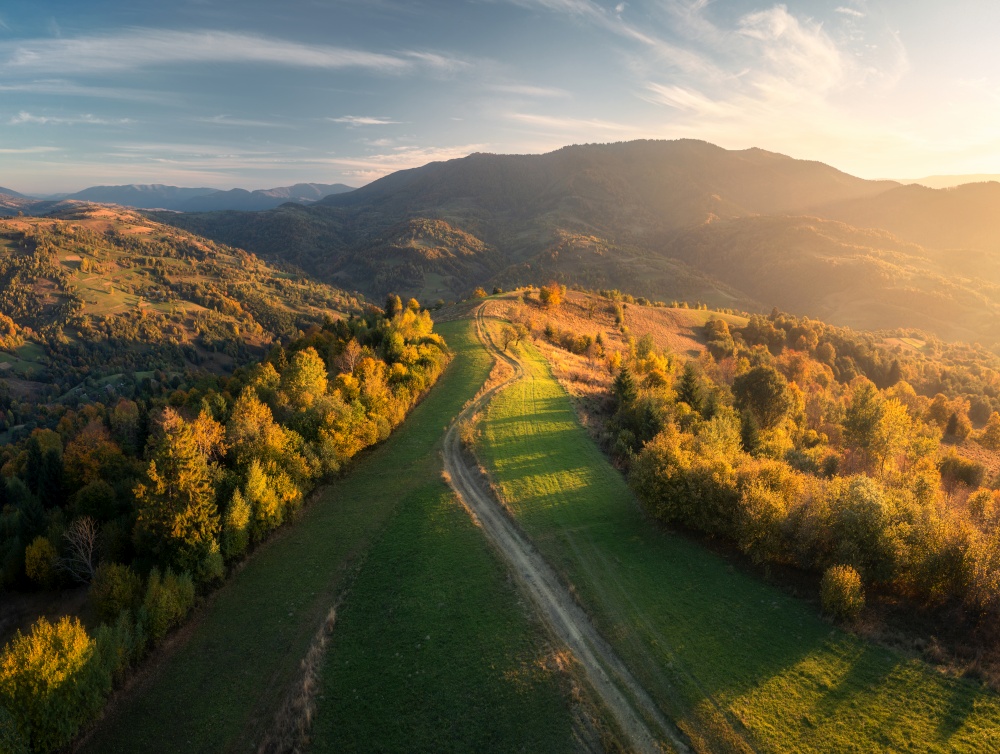 Aerial view of beautiful green hills, forest and mountains at sunset in autumn in Ukraine. Colorful landscape with woods, trail, meadows, golden sunlight, trees in fall. Nature. Top view from drone