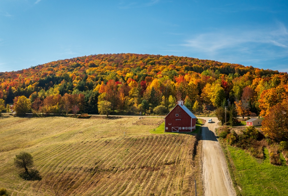 Grandview farm barn by the side of the track near Stowe in Vermont during the autumn color season. Grandview Farm barn with fall colors in Vermont