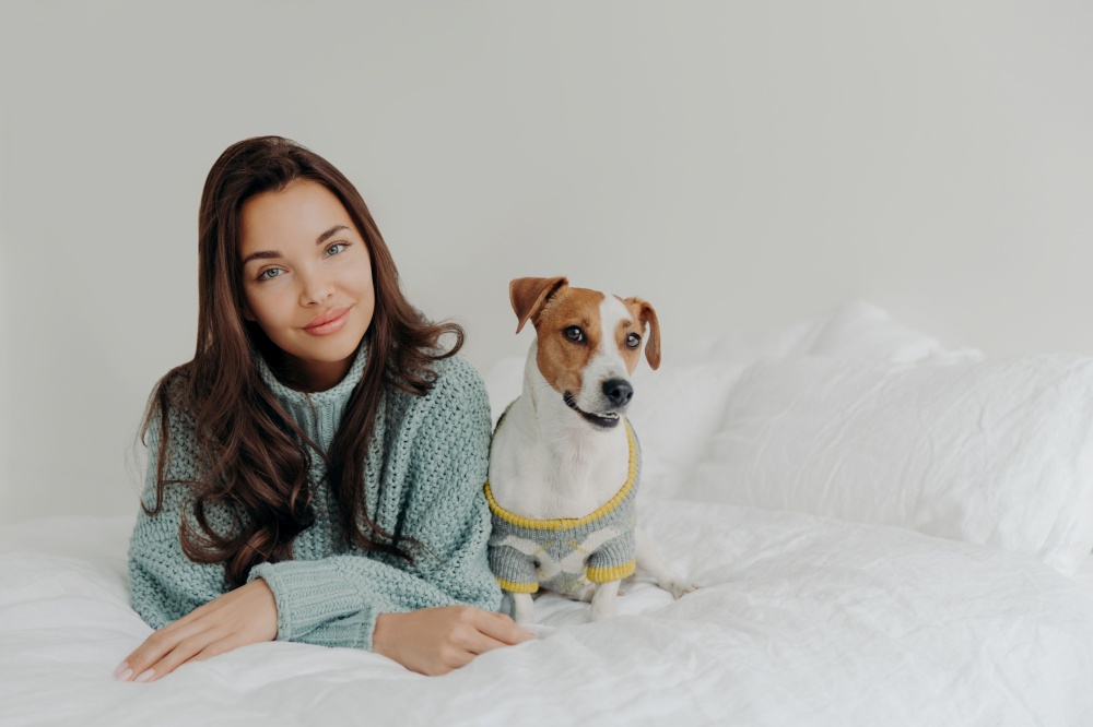 Photo of lovely dark haired woman dresses her dog for cold weather, going to have outdoor walk, lie together at comfortable bed against white background, enjoys relaxation time. Animal care.