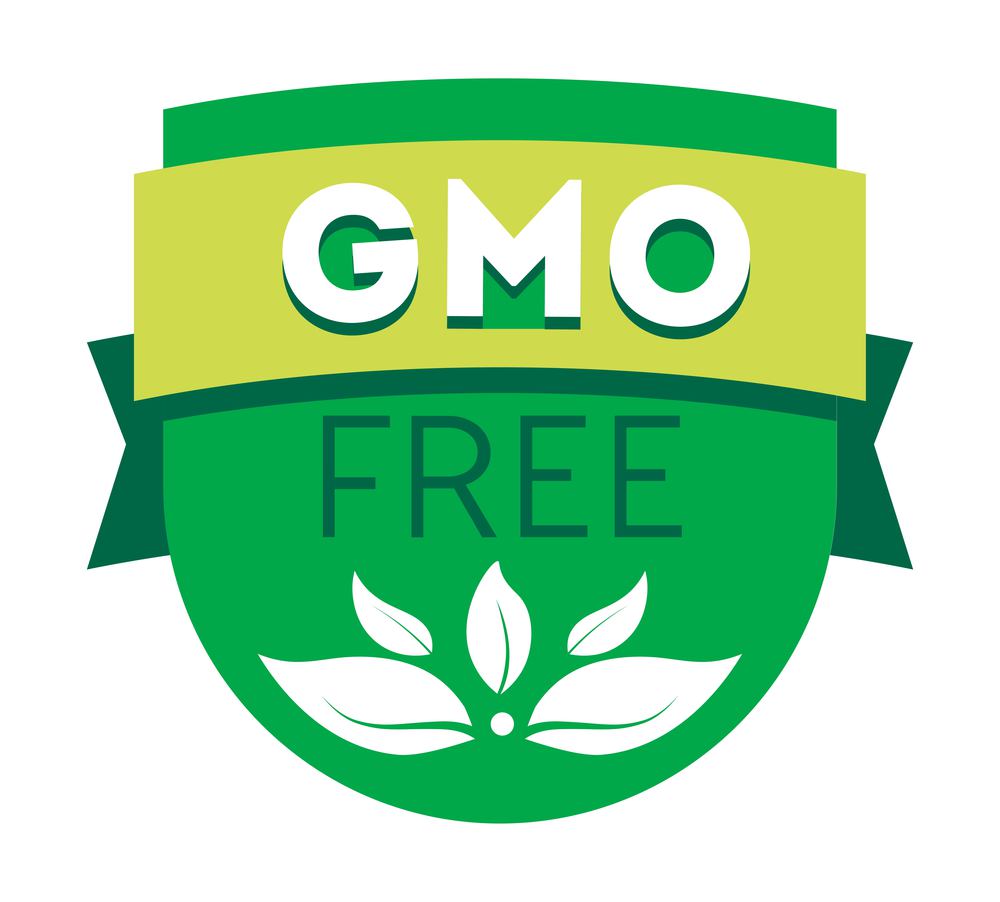 Organic and healthy ingredients for cooking and preparing food. GMO free production and elements. Information about content. Logotype or emblem, isolated logo or badge, vector in flat style. GMO free products, organic ingredients vector