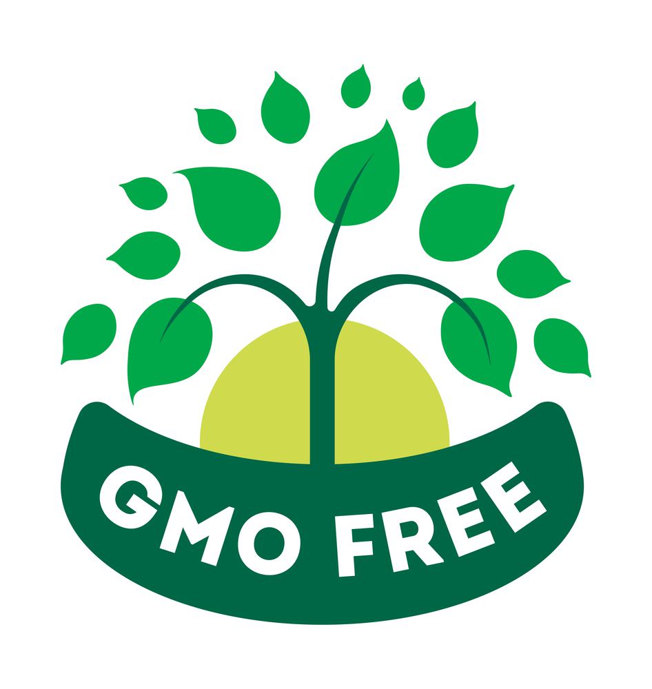 Organic and natural production, GMO free meal, and ingredients for cooking and consuming. Genetically modified, healthy food. Logotype or emblem, isolated logo or badge, vector in flat style. GMO free production, label or emblem stickers