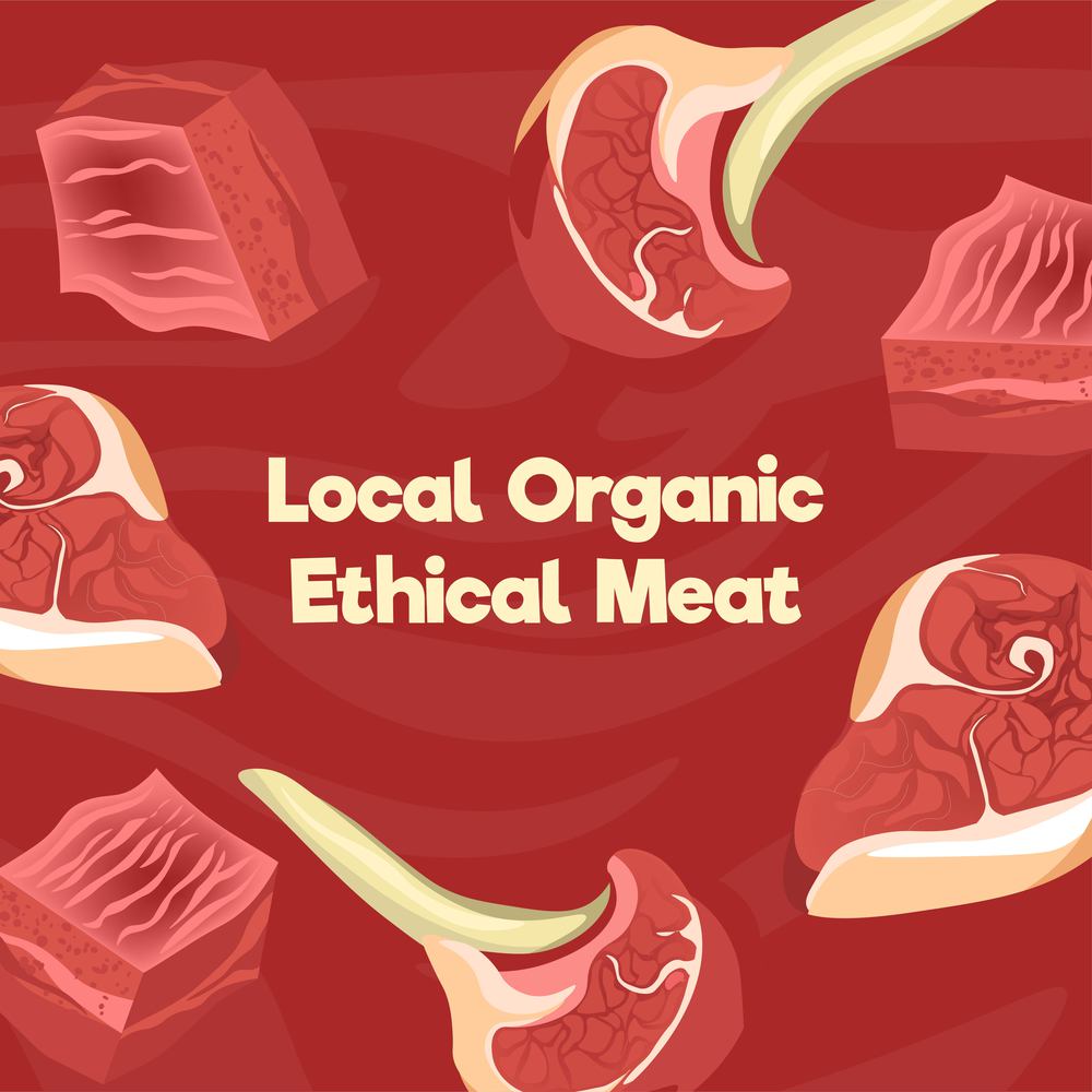 Alternative ingredients for vegans and vegetarians. Local organic ethical meat product, based on plants. Analogous meal, eco friendly. Promotional banner or advertisement poster. Vector in flat style. Local organic ethical meat product, butchery shop