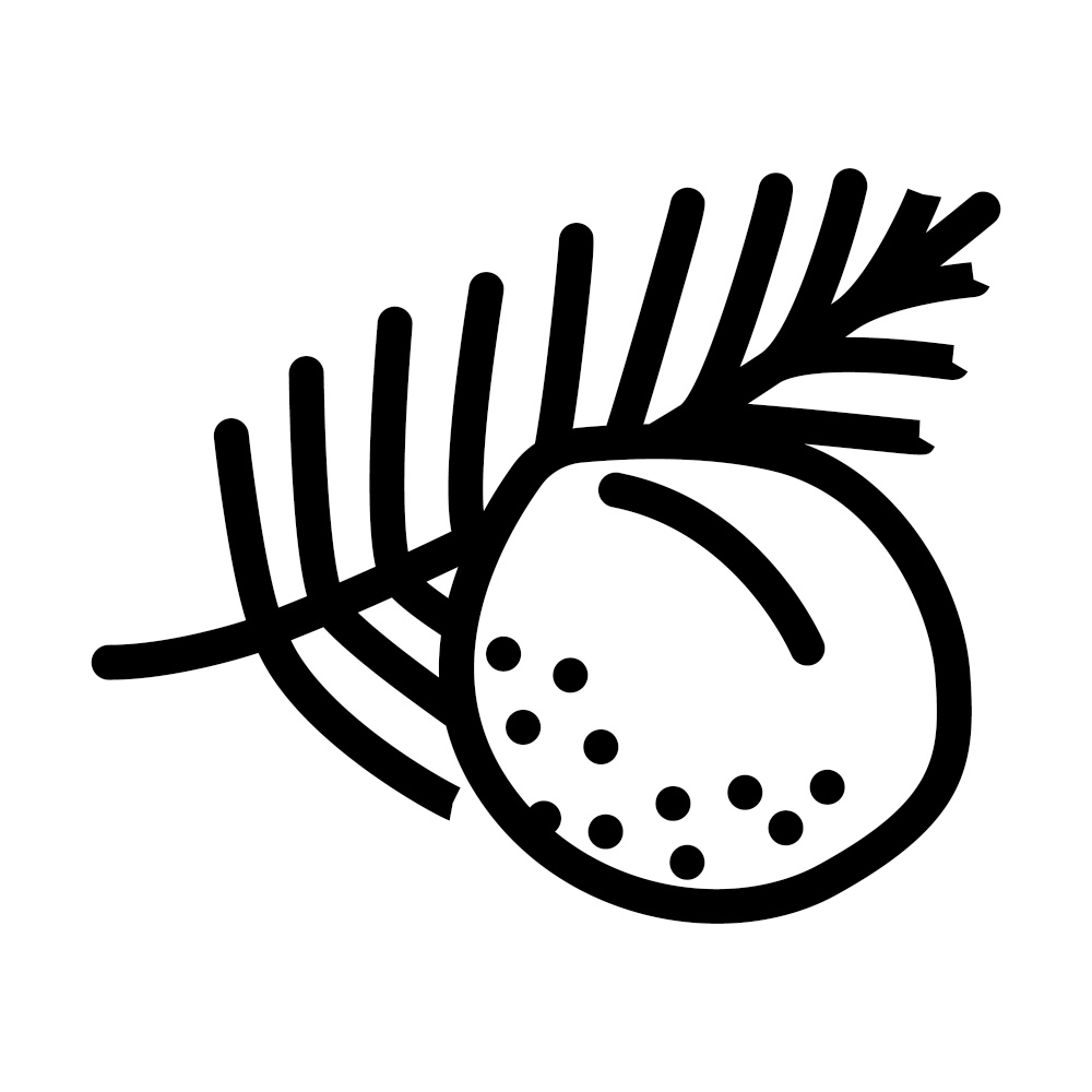 coconut palm leaf line icon vector. coconut palm leaf sign. isolated contour symbol black illustration. coconut palm leaf line icon vector illustration