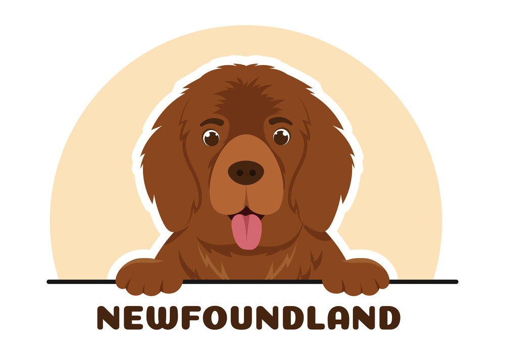 Newfoundland Dog Animals with Black, Brown or Landseer Color in Flat Style Cute Cartoon Template Hand Drawn Illustration