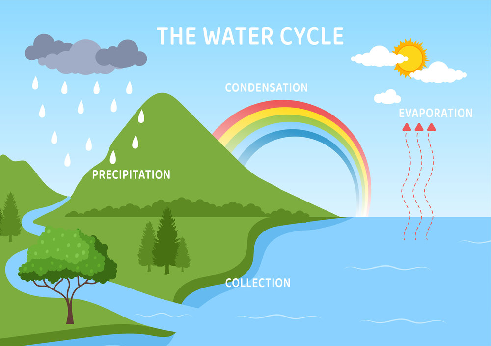 Water Cycle of Evaporation, Condensation, Precipitation to Collection in Earth natural environment on Flat Cartoon Hand Drawn Template Illustration