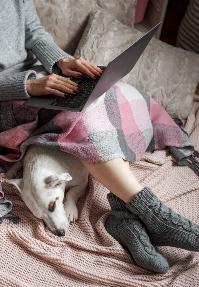Cozy home, woman covered with warm blanket, drinks coffee and works on a laptop,  sleeping dog next to woman. Relax, carefree, comfort lifestyle.