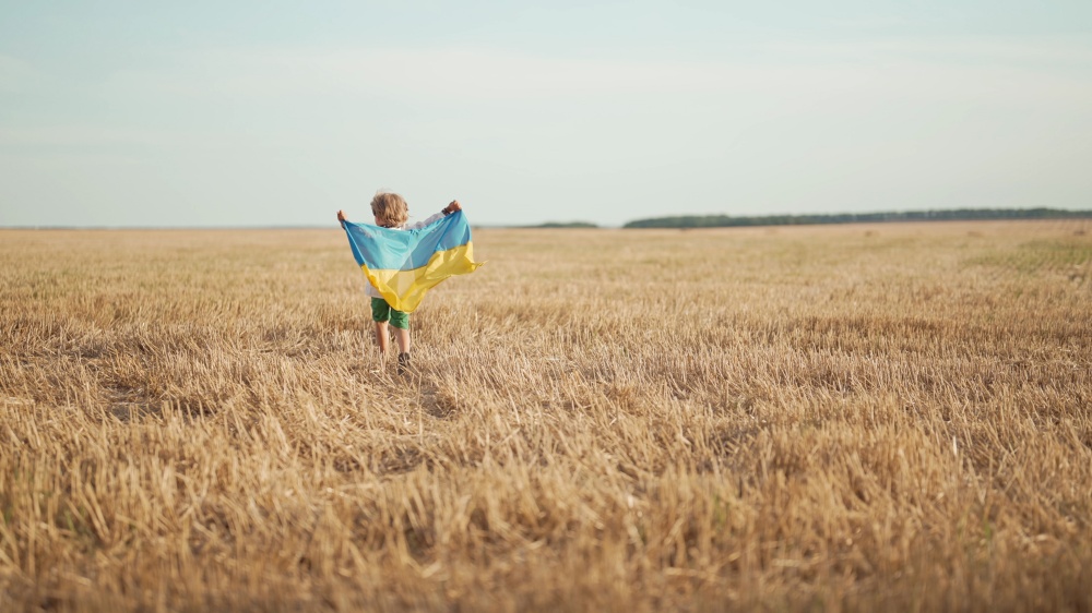 Happy little boy - Ukrainian patriot child running with national flag in field after collection wheat, open area. Ukraine, peace, independence, freedom, win in war. High quality photo. Happy little boy - Ukrainian patriot child running with national flag in field after collection wheat, open area. Ukraine, peace, independence, freedom, win in war.