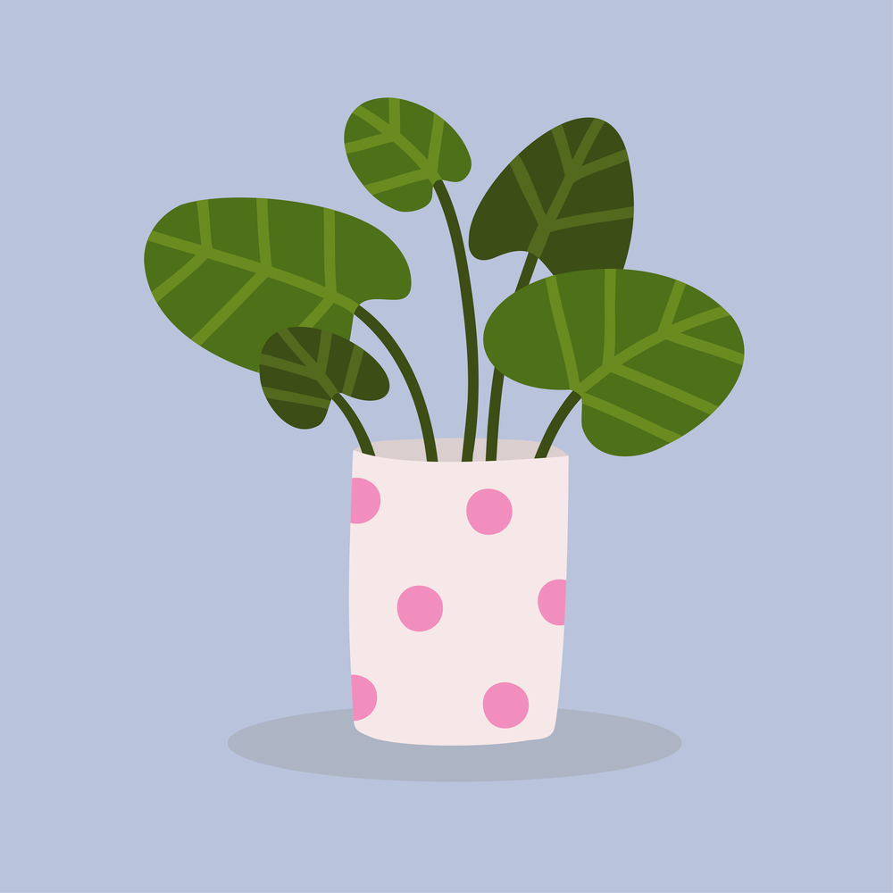 Cute plant