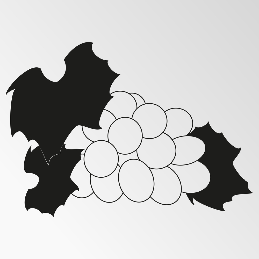Objects on the theme of grapes. Vector illustration on the theme grapes