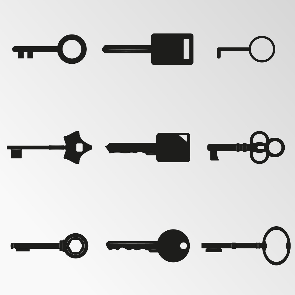 Set of objects on the theme of the keys. Vector illustration on the theme the keys