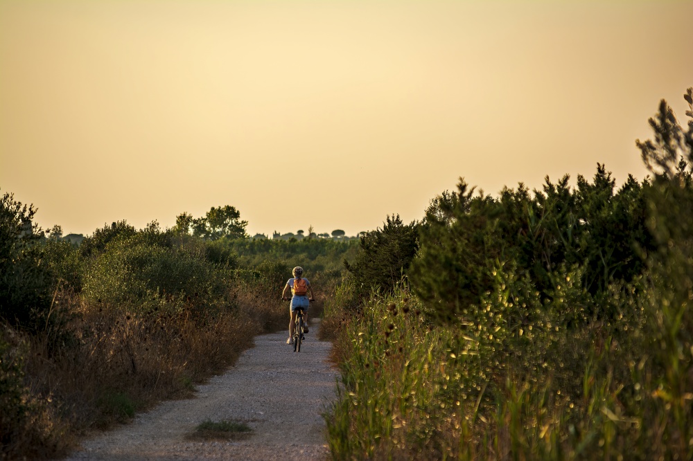 A woman is riding a mountain bike on cross country road at sunset in summer. Gialova lagoon, Greece.. A woman is riding a mountain bike on cross country road at sunset in summer.