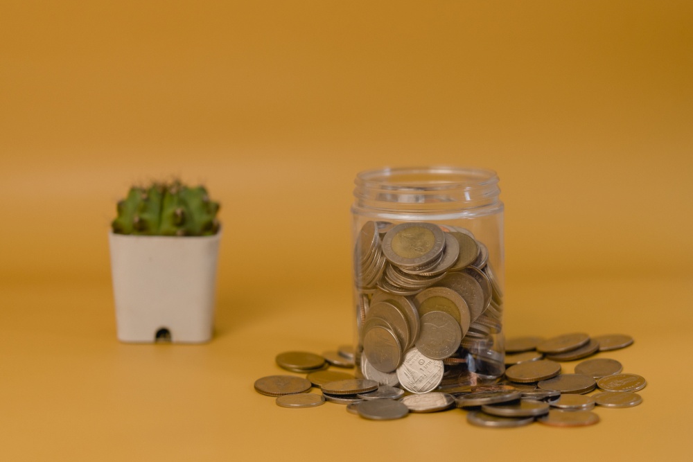 Saving money in the jar Banking finances invest in insurance and retirement funds and cactus on yellow background.