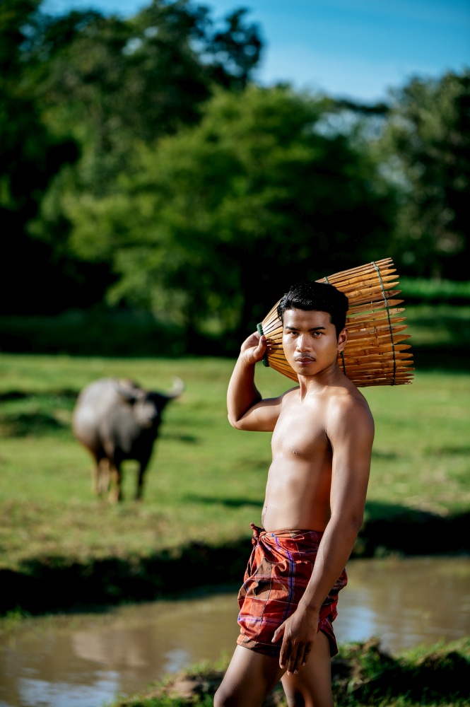 Portrait Young man topless use bamboo fishing trap to catch fish for cooking, Asian young farmer man in rural lifestyle, blurred big buffalo eating grass in background