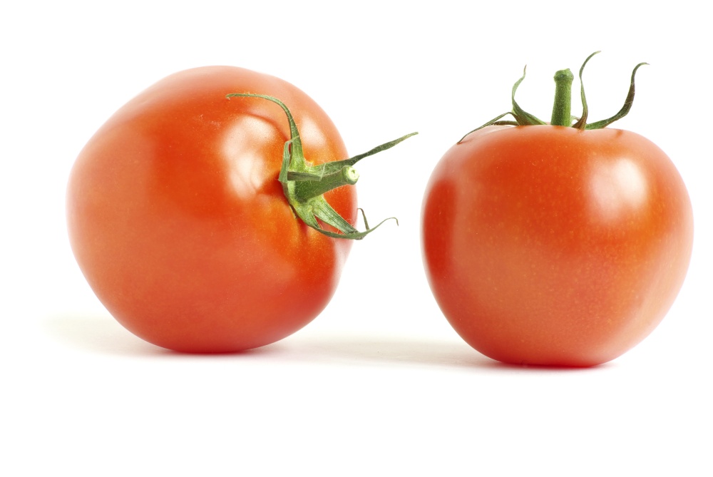 branch of tomato isolated over white background