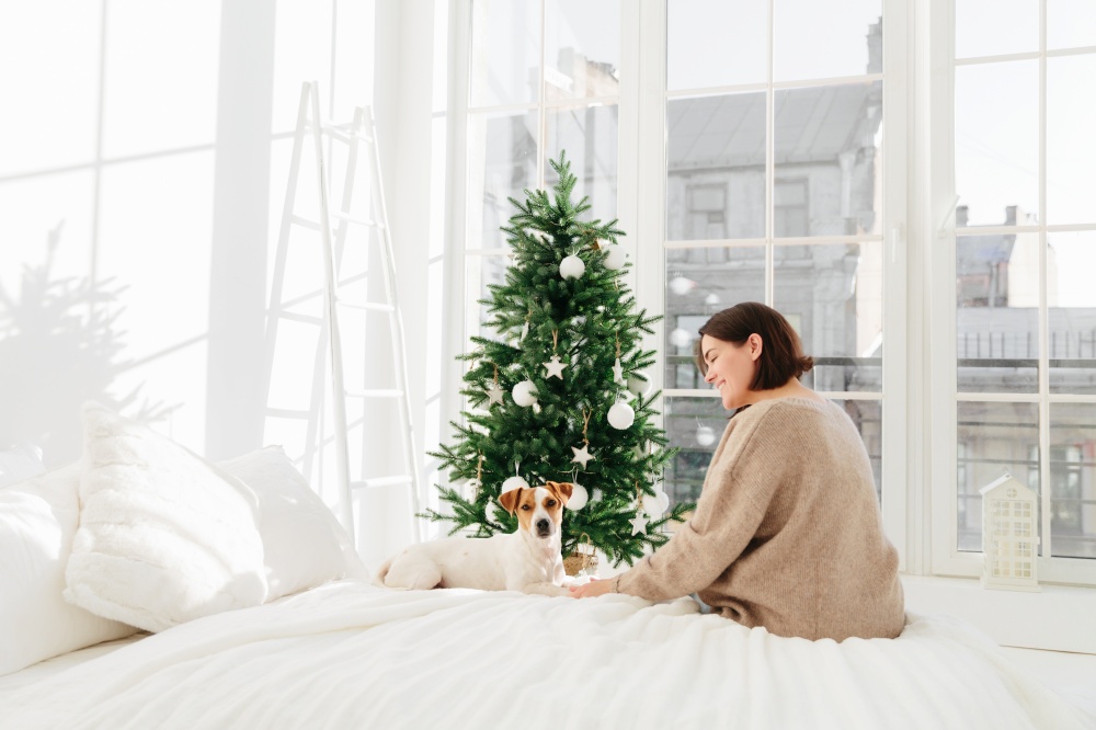 Caring brunette cheerful woman in oversized jumper enjoys time with favourite dog, pose against domestic atmosphere, sit on white bed, decorated Christmas tree in background. Winter holidays concept