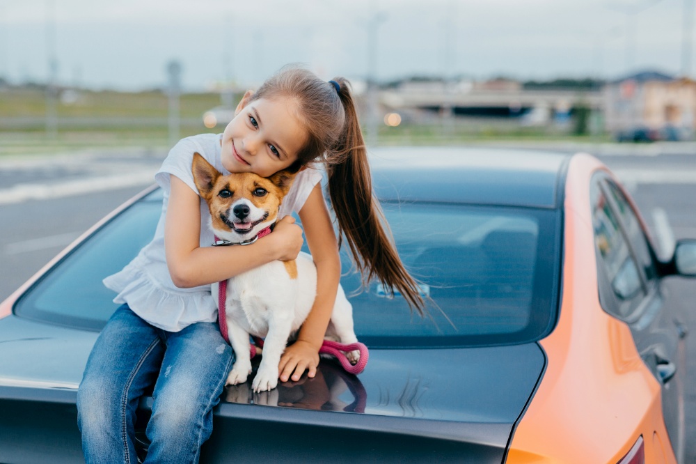 Photo of merry small female kid has pony tail embraces with love her favourite pet, pose at trunk of automobile, play together, walk in open air, enjoy togetherness. Children and animals concept