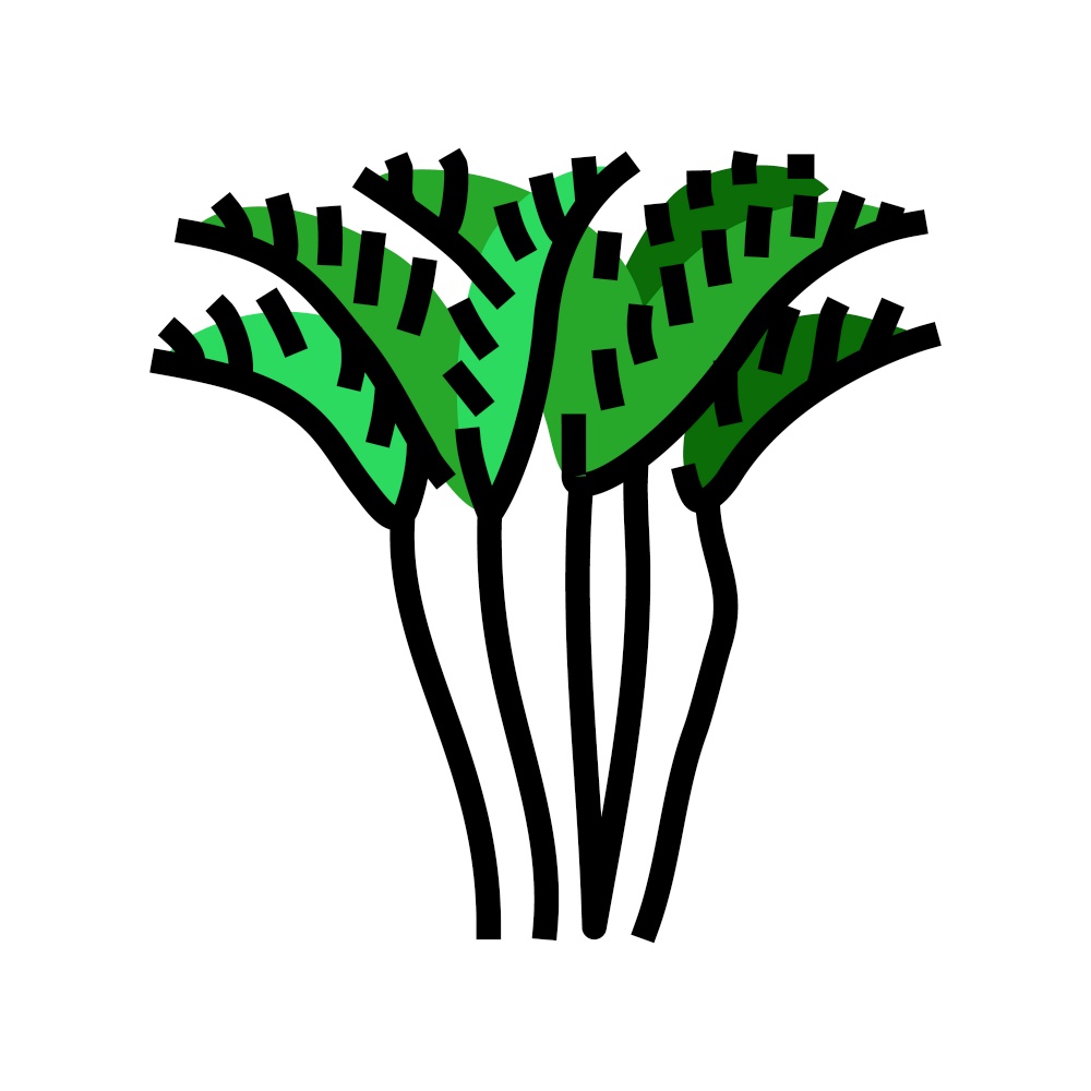 areca palm tree color icon vector. areca palm tree sign. isolated symbol illustration. areca palm tree color icon vector illustration