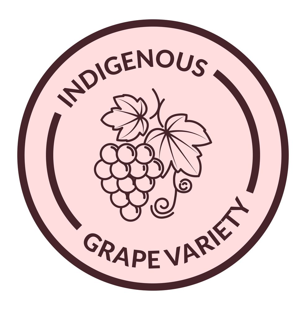 Grape variety, isolated icon with organic and natural berries. Wine making and producing of alcoholic beverages. Monochrome sketch. Label or logotype for package product. Vector in flat style. Indigenous grape variety, label for product vector