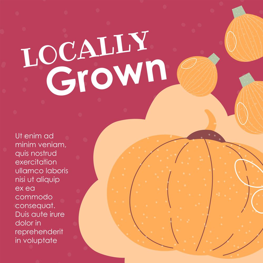 Organic and natural pumpkins, locally grown products for dieting and nourishment, healthy eating and consuming food. Vegetarian and vegan meal and menu lifestyles. Vector in flat style illustration. Locally grown products, organic natural pumpkins