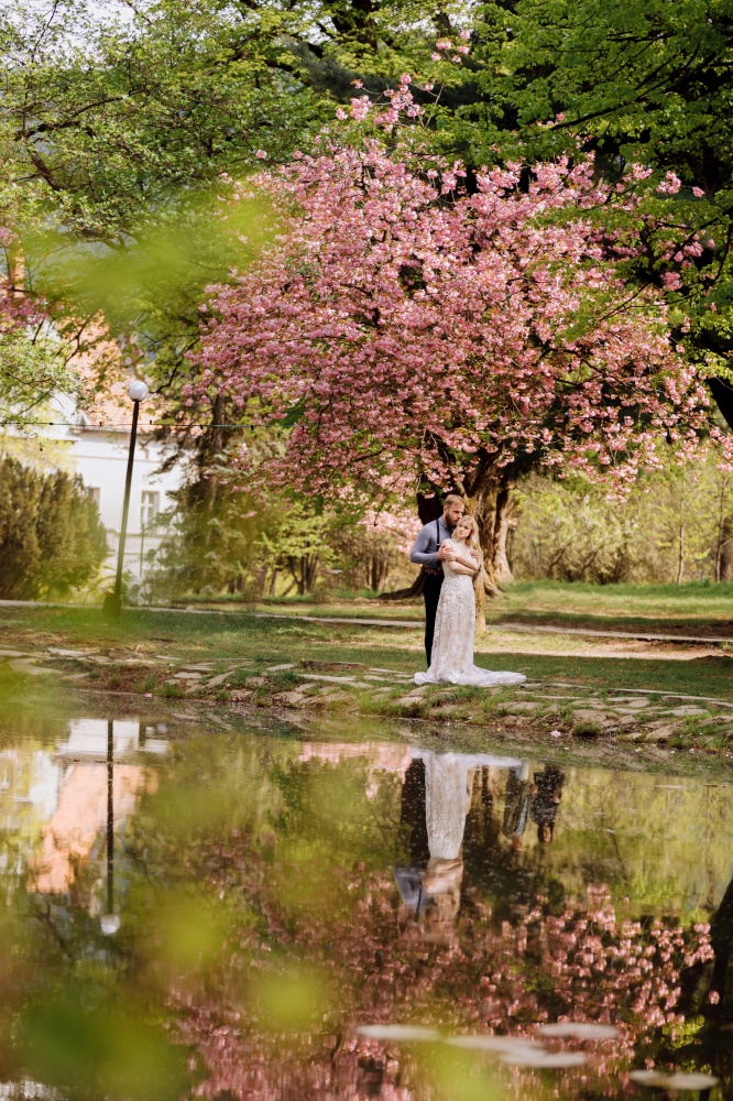 Beautiful, cheerful and lively newlyweds, groom and bride are hugging near the blooming pink cherry blossom. Wedding portrait of a close-up of a smiling bearded groom and a cute bride. Beautiful, cheerful and lively newlyweds, groom and bride are hugging near the blooming pink cherry blossom.