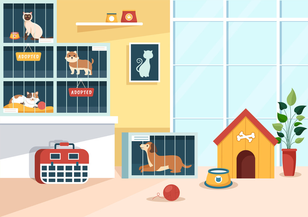 Adopt a Pet From an Animal Shelter in the Form of Cats or Dogs to Care for and Look After in Flat Cartoon Hand Drawn Templates Illustration
