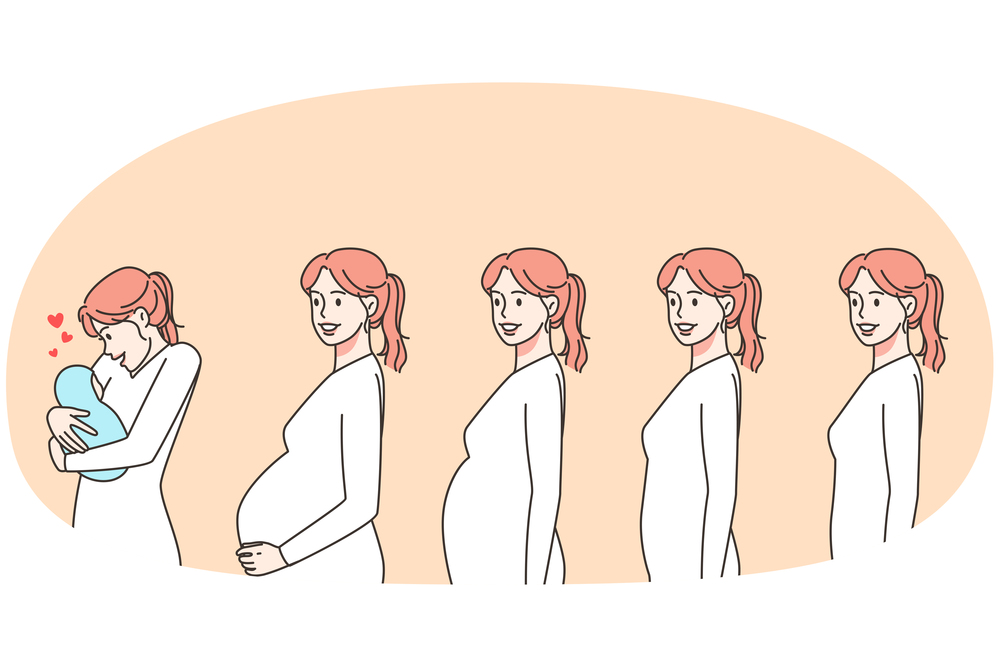 Stages of healthy pregnancy. Happy woman during different months being pregnant. Motherhood concept. Vector illustration.. Stages of woman pregnancy