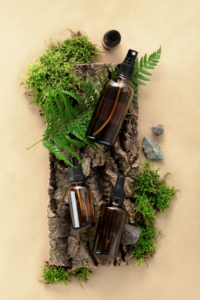 Unlabelled cosmetic bottles on natural beige background, natural moss over branches, bark. Skin care, organic body treatment, spa concept. Vegan eco friendly cosmetology product. Organic cosmetics flat lay