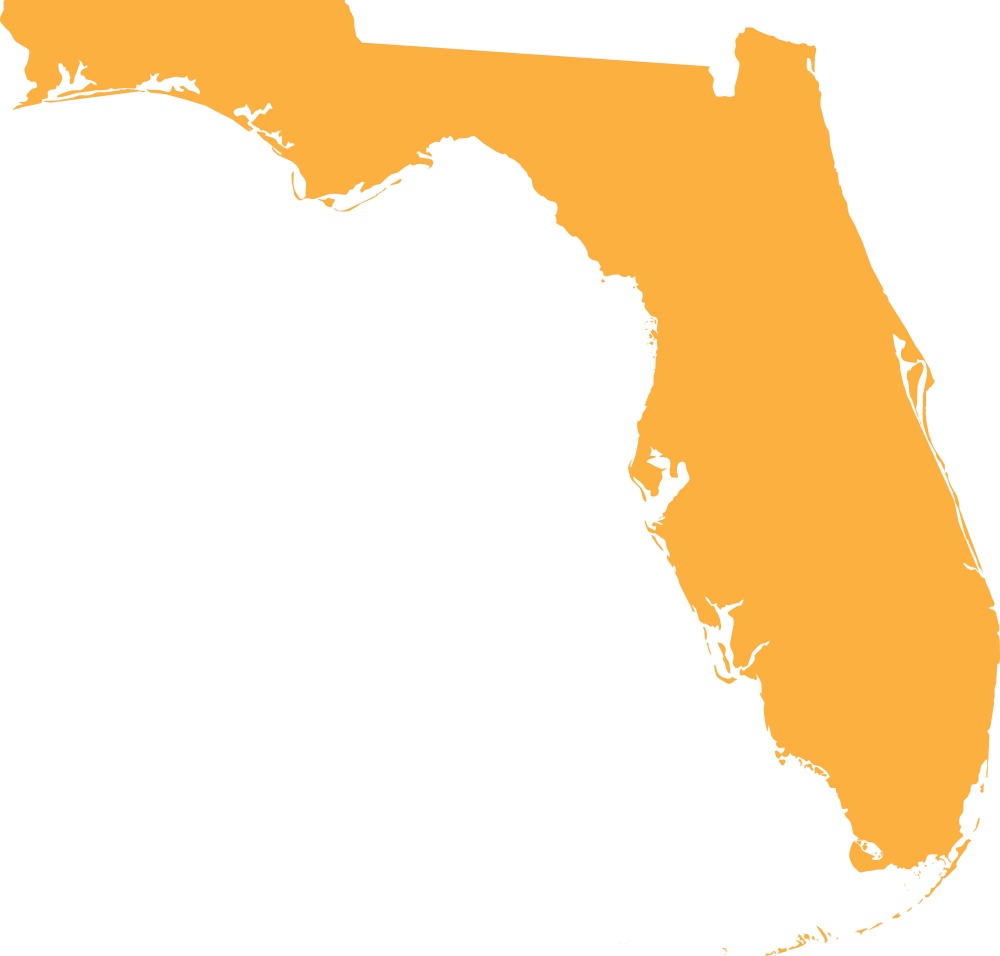 ORANGE CMYK color map of FLORIDA, USA