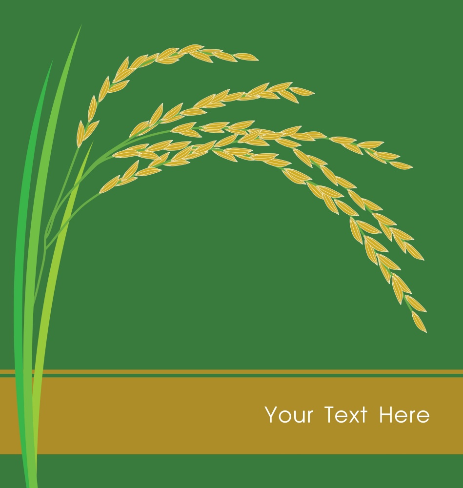Rice vector image
