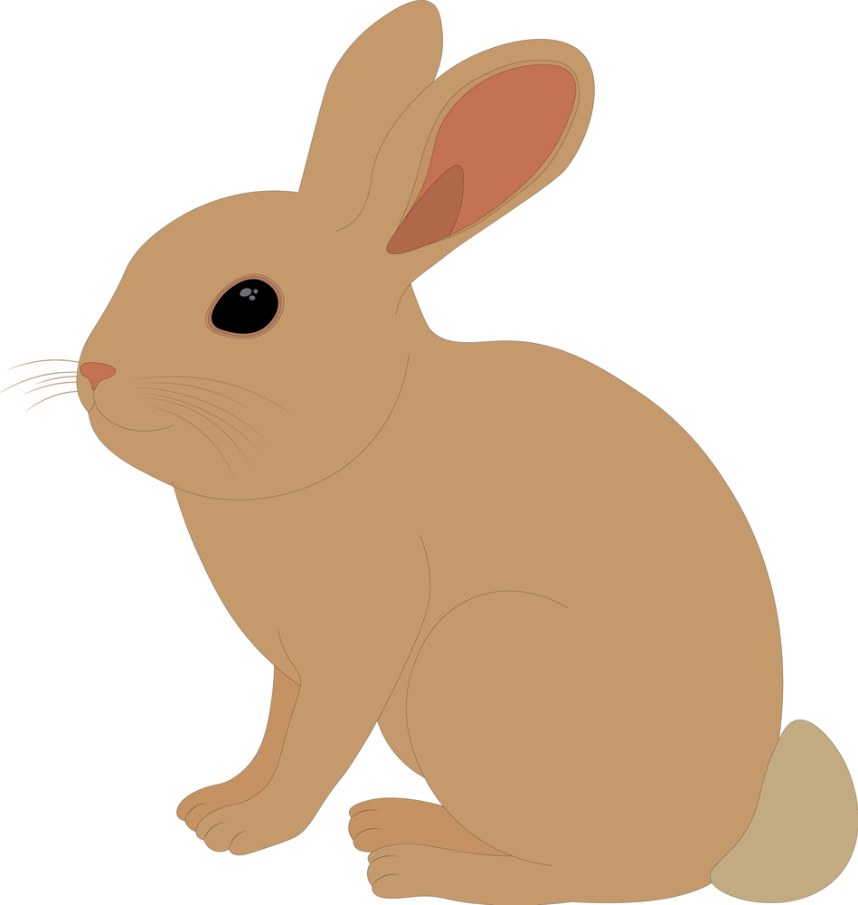 Small cute brown rabbit Royalty Free Vector Image