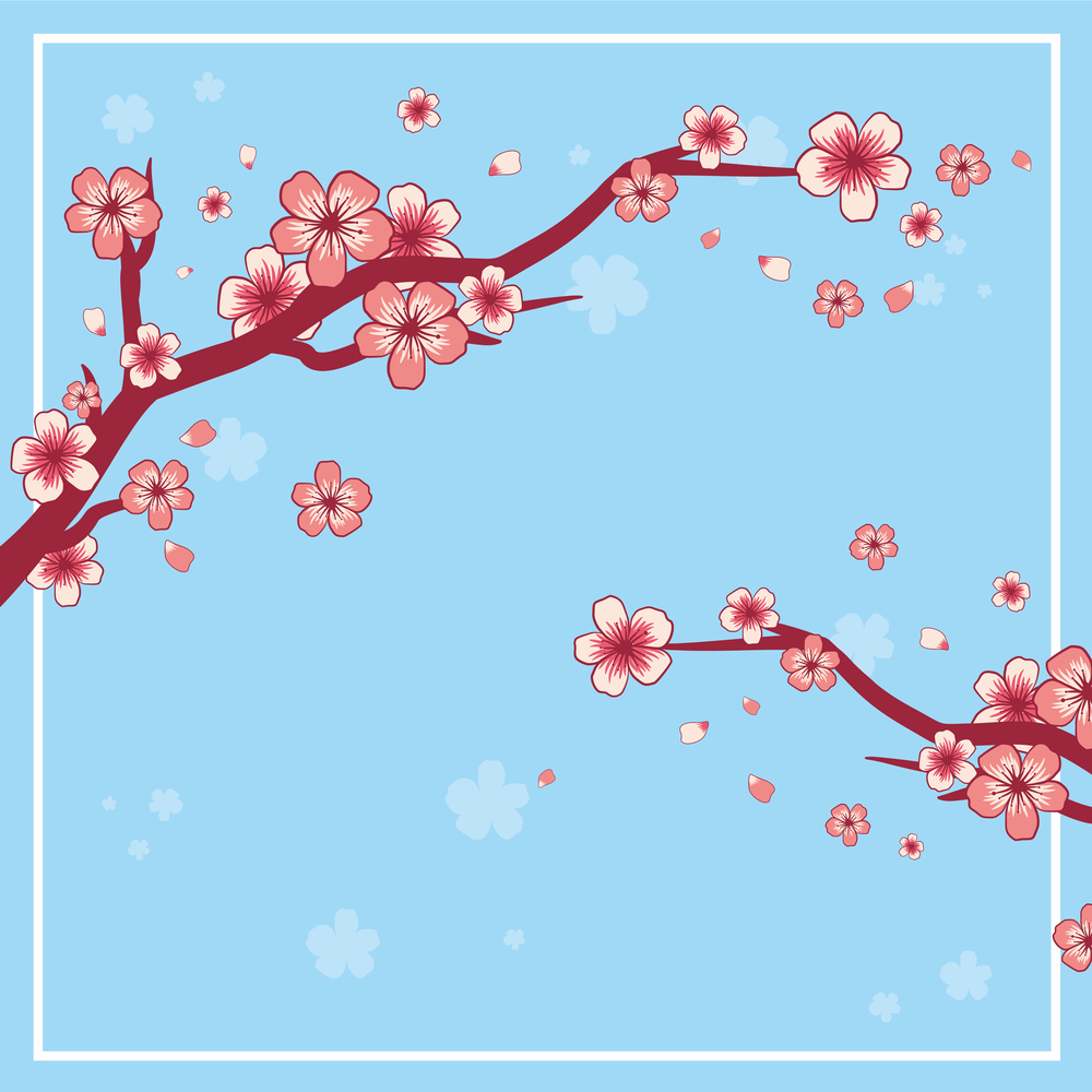 Cherry blossoms branch with blue background Vector Image